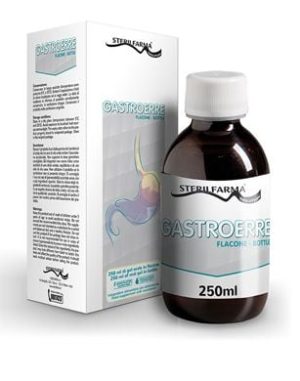 Gastroerre Sciroppo per Acidità Gastrica 250 ml