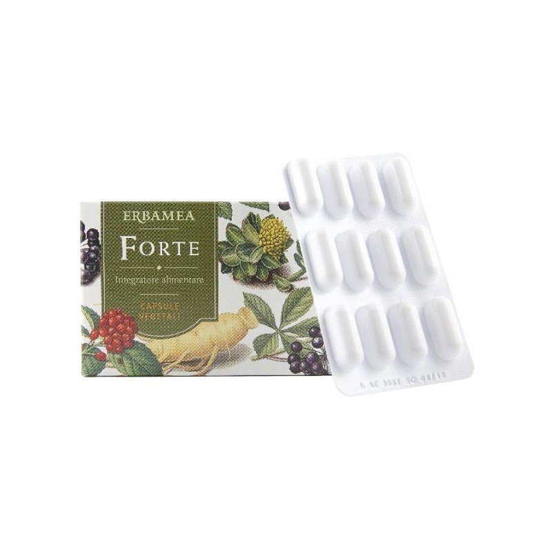 Erbamea Forte 24 Capsule Vegetali - Integratore per la Concentrazione