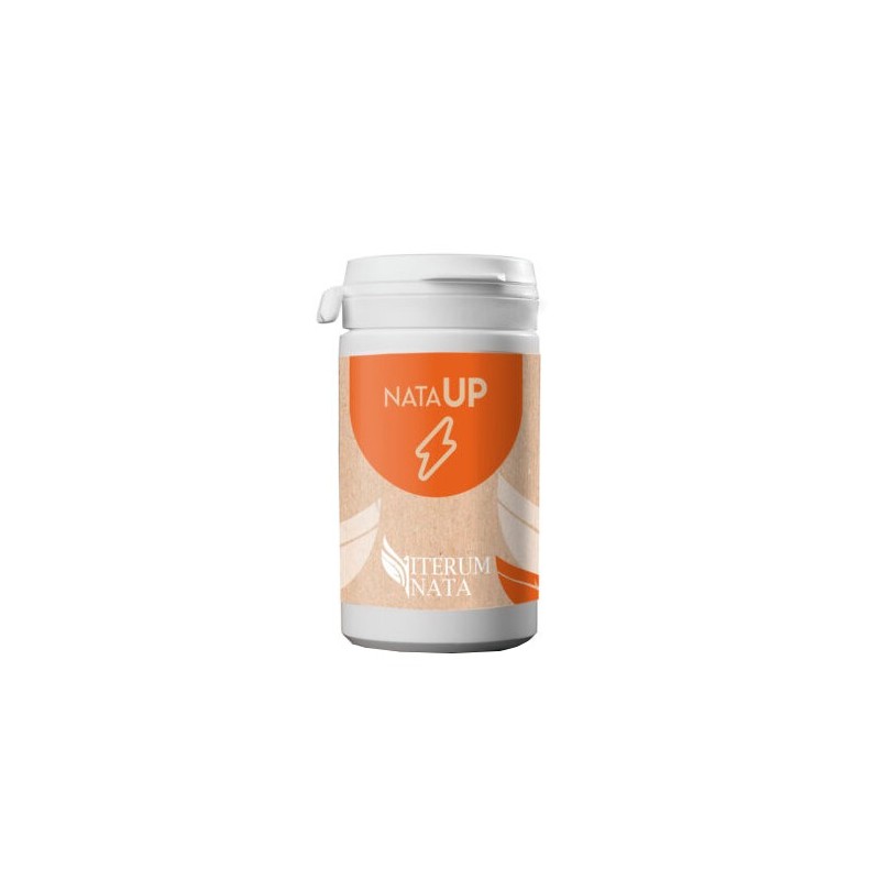 NataUp 30 Capsule - Integratore per Memoria e Concentrazione