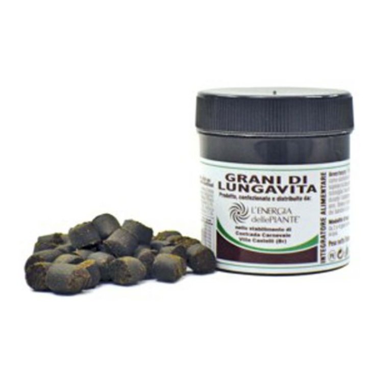 Grani di Lunga Vita Acidophilus 35 Grammi