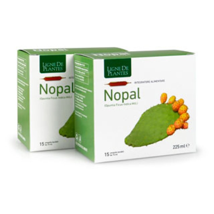Nopal Ligne De Plantes 15 Ampolle - Integratore di Nopal