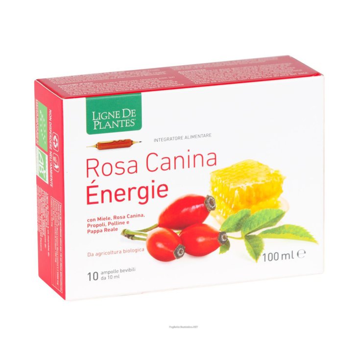 Rosa Canina Ènergie 10 Ampolle - Rosa Canina con Azione Ricostituente