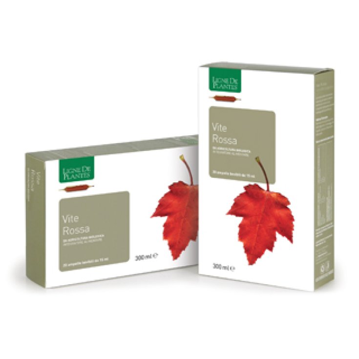 Vite Rossa Natura Service 20 Ampolle - Integratore di Vie Rossa