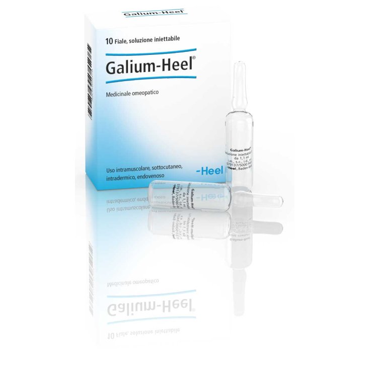 Galium Heel 10 Fiale Da 1,1ml