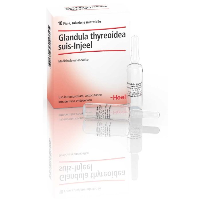 Glandula Thyreoidea Suis-Injeel Heel 10 Fiale