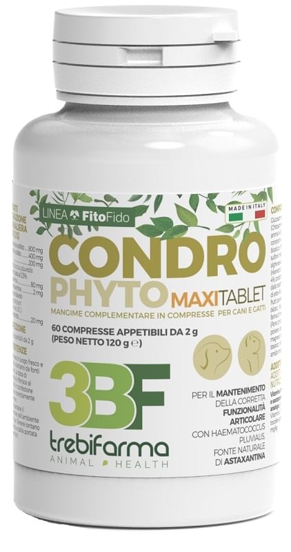 CONDROPHYTO 60 COMPRESSE 2 G