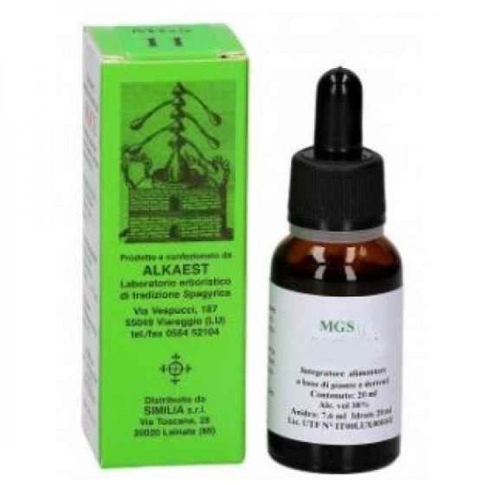 MGS23 Carpino Macerato Glicerico 20 ml