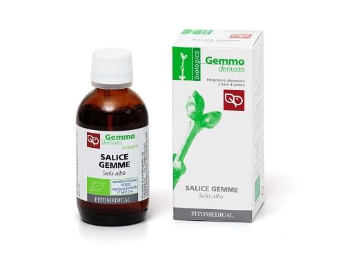 Salice Gemme Fitomedical - Macerato Glicerico 50/100 ml
