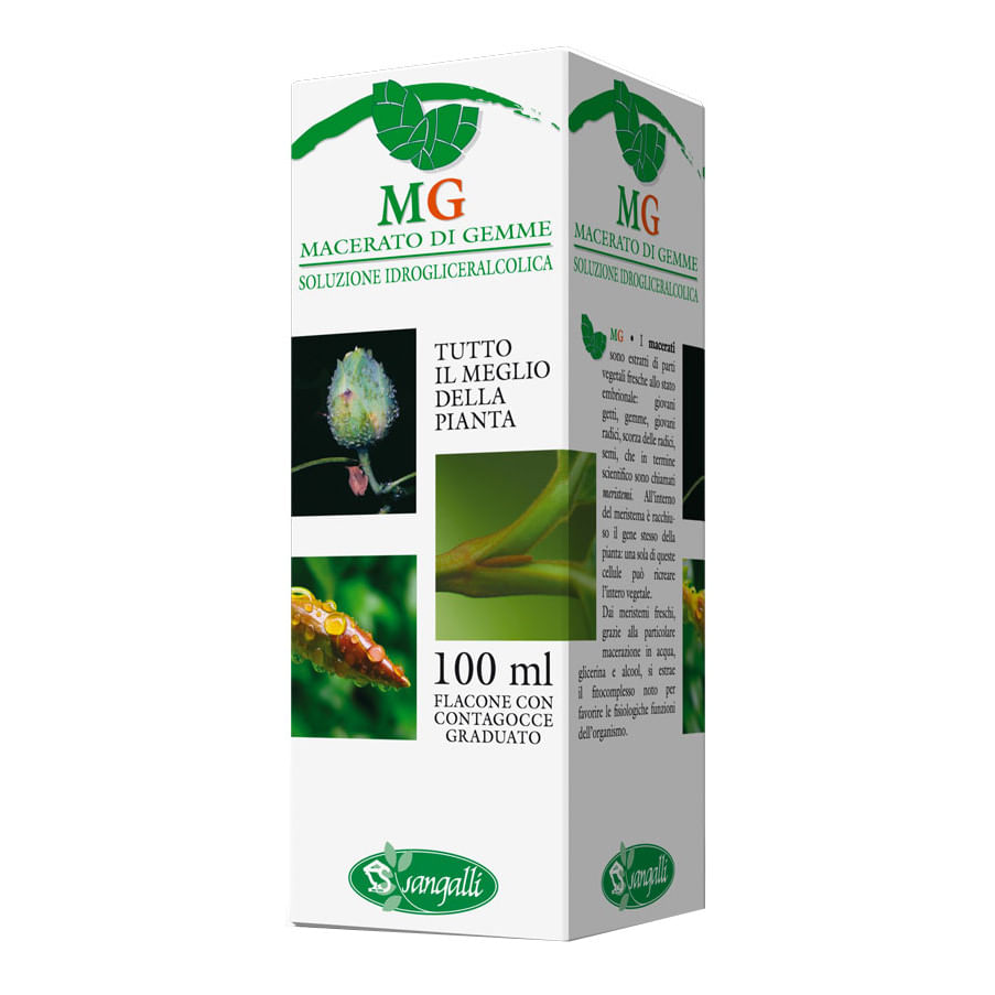Fico Macerato Glicerolo Sangalli 100 ml