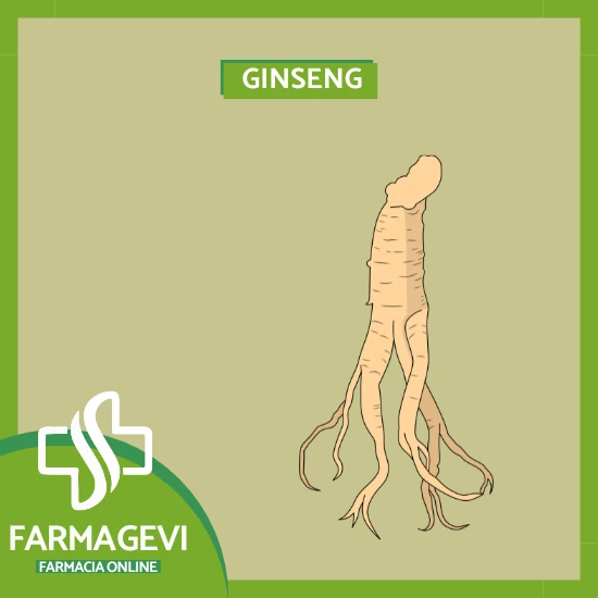 ginseng